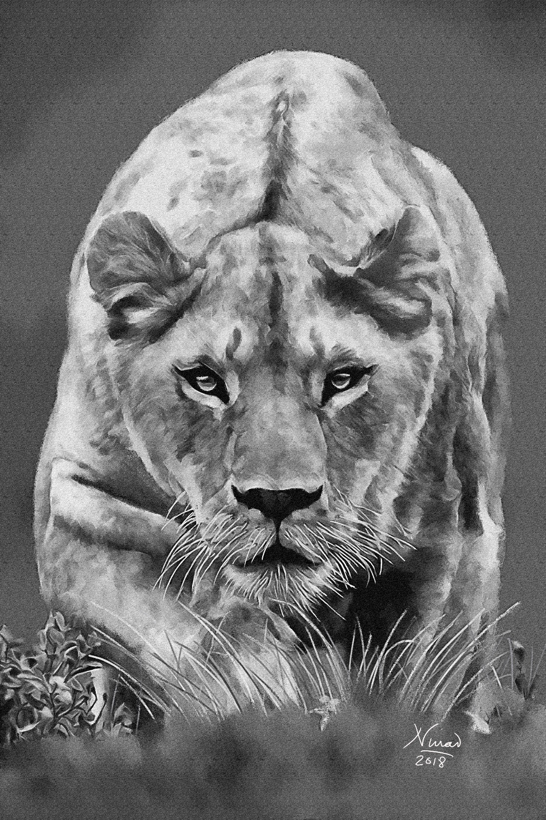 Lioness painting